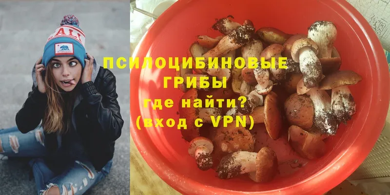 Псилоцибиновые грибы Psilocybe  где продают   Болхов 